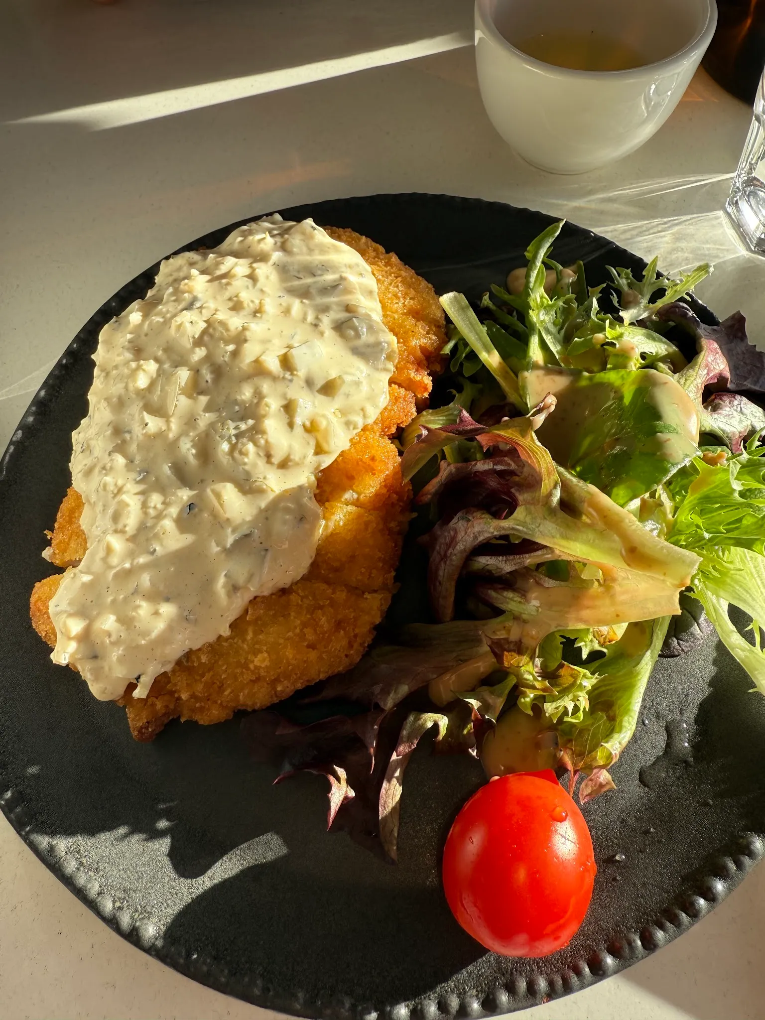 Fried fish with cream sauce and salad on dark ceramic plate